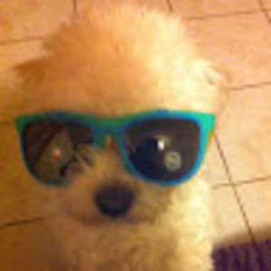 Meet your Posher, Mairany